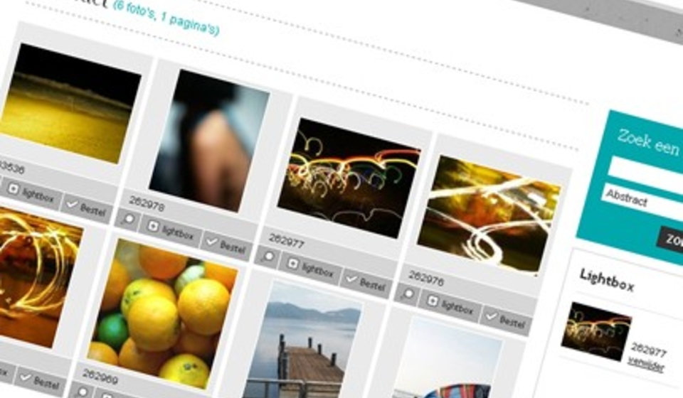 Picturebase Professionele Websites Voor Fotografen Flink